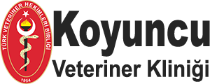Koyuncu Veteriner Kliniği